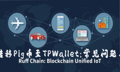 如何安全转移Pig币至TPWallet:常见问题与解决办法
