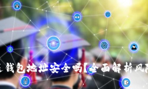 tpwallet发送钱包地址安全吗?全面解析风险与防范措施