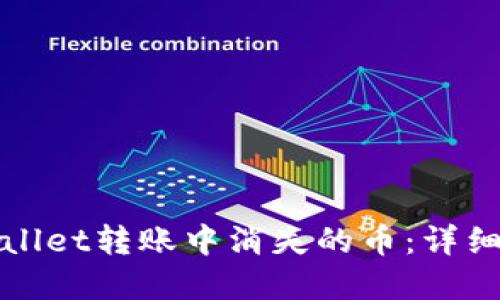 如何找回在TPWallet转账中消失的币:详细指南与实用建议