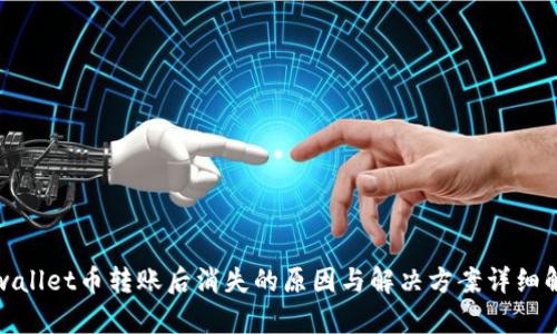 tpwallet币转账后消失的原因与解决方案详细解析