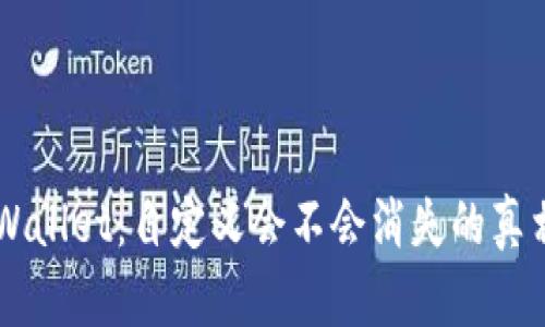 深入解析TPWallet:自定义会不会消失的真相与未来展望
