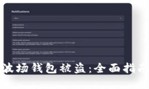 如何应对TP波场钱包被盗:全面指南与解决方案