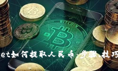 详解TPWallet如何提取人民币:步骤、技巧与注意事项