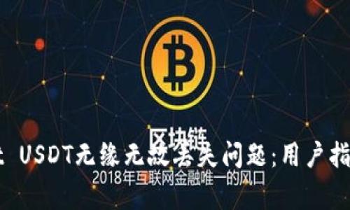 如何解决TPWallet USDT无缘无故丢失问题:用户指南与常见问题解答