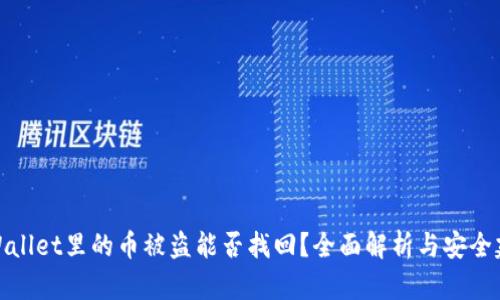 TPWallet里的币被盗能否找回?全面解析与安全建议