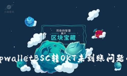 如何解决tpwalletBSC转OKT未到账问题的详细指南
