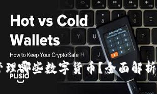 TPWallet可以存储和管理哪些数字货币?全面解析数字资产的选择与应用