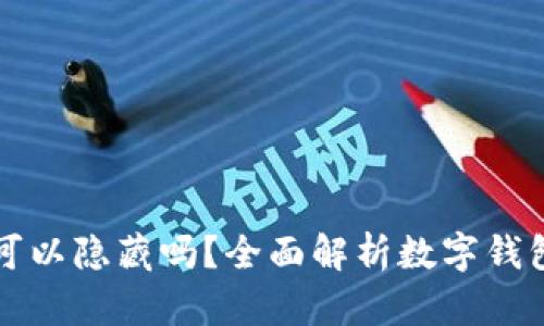 TPWallet记录可以隐藏吗？全面解析数字钱包隐私与安全性