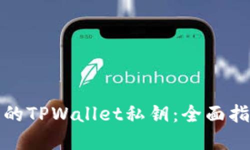 如何找回丢失的TPWallet私钥:全面指南与解决方案