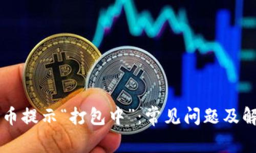 TPWallet转币提示“打包中”:常见问题及解决办法详解