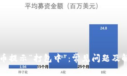 TPWallet转币提示“打包中”:常见问题及解决办法详解