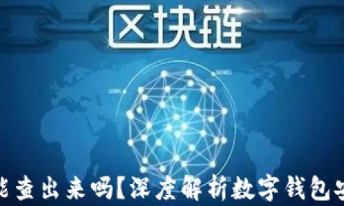 tpwallet被盗能查出来吗?深度解析数字钱包安全及防范措施