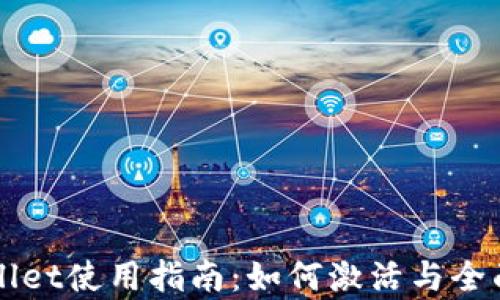 
TPWallet使用指南：如何激活与全面分析