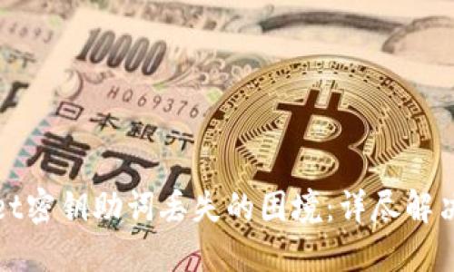 如何应对TPWallet密钥助词丢失的困境：详尽解决方案与预防措施
