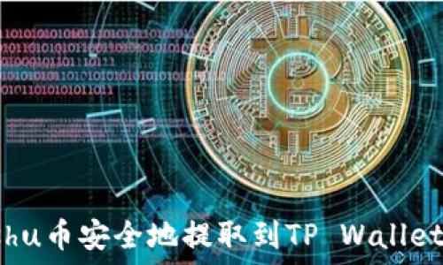 如何将Kishu币安全地提取到TP Wallet:全面指南