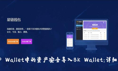 如何将TP Wallet中的资产安全导入BK Wallet:详细操作指南