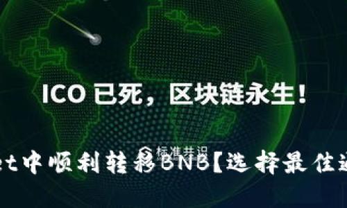 如何在TPWallet中顺利转移BNB?选择最佳通道的全面指南