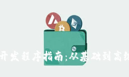 在TPWallet内开发程序指南:从基础到高级的全方位探索