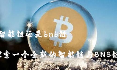 tpwallet是智能链还是bnb链
TPWallet:探索一个全新的智能链与BNB链的交融之旅