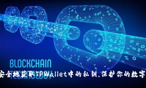 如何安全地获取TPWallet中的私钥,保护你的数字资产?