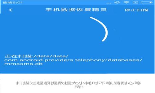 要讨论“公安可以冻结tpwallet吗”这个问题，我们首先需要明确几个相关概念，以及可能涉及的法律和技术领域。以下是相关信息的框架。

公安机关在数字钱包冻结操作中的法律分析与实践探讨