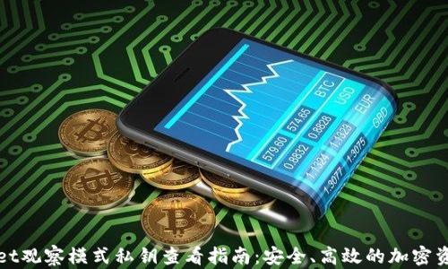 
TPWallet观察模式私钥查看指南：安全、高效的加密资产管理