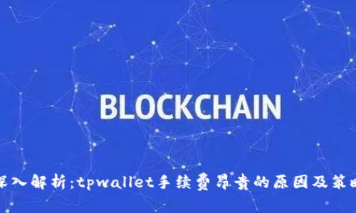 深入解析:tpwallet手续费昂贵的原因及策略