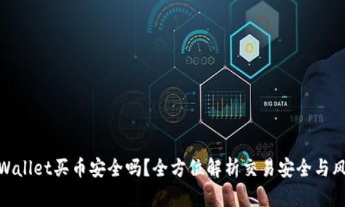 TPWallet买币安全吗?全方位解析交易安全与风险