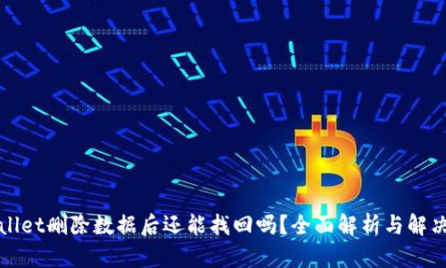 TPWallet删除数据后还能找回吗?全面解析与解决方案