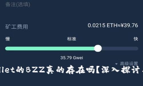TPWallet的BZZ真的存在吗?深入探讨与分析