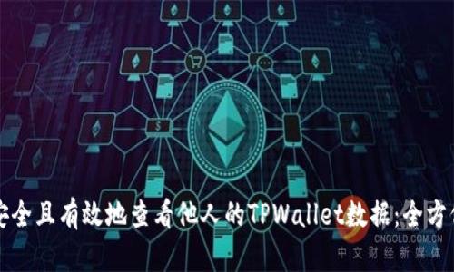 如何安全且有效地查看他人的TPWallet数据:全方位指南