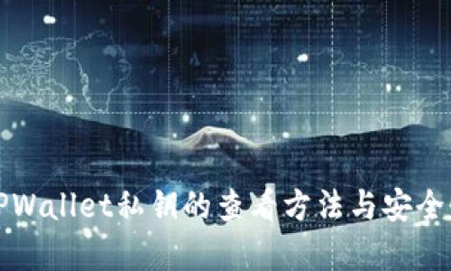 全面解析TPWallet私钥的查看方法与安全性保护指南