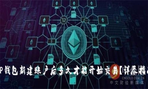 TP钱包新建账户后多久才能开始交易?详尽指南