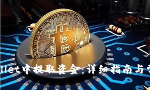 如何从TPWallet中提取资金:详细指南与常见问题解答
