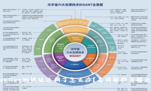 问题 tpwallet测试版过期了怎么办?名词解释与解决方案详解