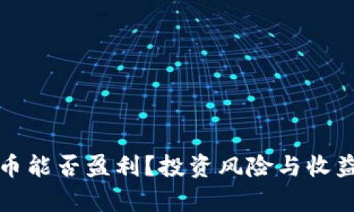 炒虚拟币能否盈利?投资风险与收益全解析