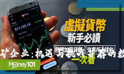 河北虚拟币挖矿企业：机遇与挑战并存的数字经济新风口