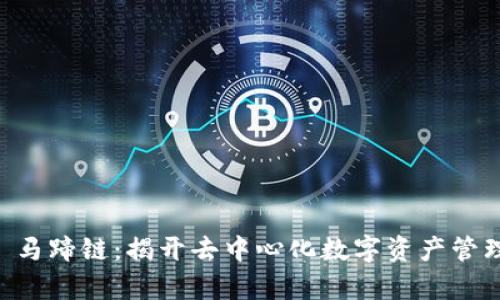 TPWallet 马蹄链：揭开去中心化数字资产管理的新篇章