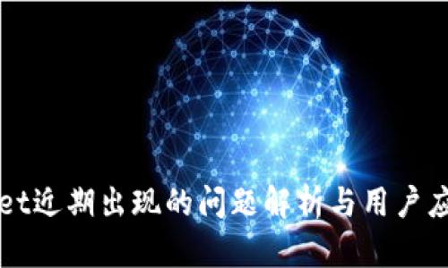 TPWallet近期出现的问题解析与用户应对指南