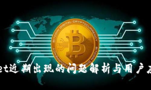 TPWallet近期出现的问题解析与用户应对指南