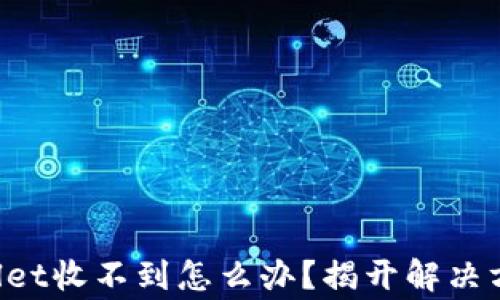 
提现到TP Wallet收不到怎么办？揭开解决方案与注意事项