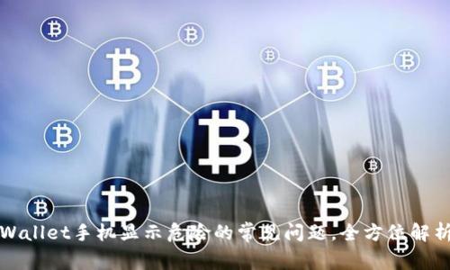 如何解决TPWallet手机显示危险的常见问题，全方位解析与解决方案