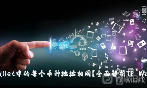 为什么TP Wallet中的每个币种地址相同？全面解析TP Wallet设计原理