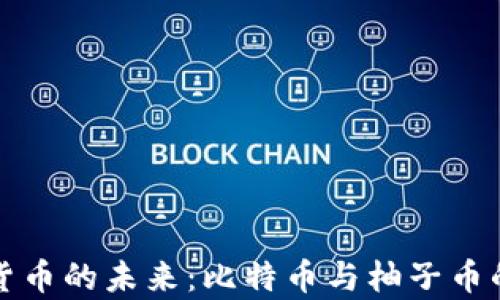 
探索虚拟货币的未来：比特币与柚子币的全面解析