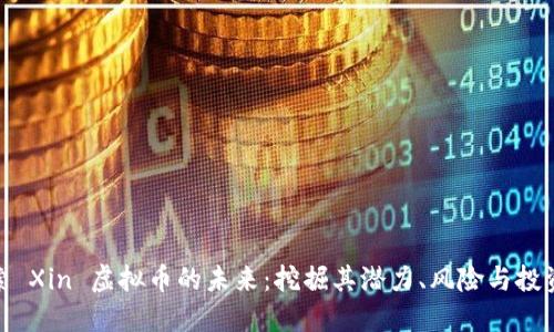 : 探索 Xin 虚拟币的未来：挖掘其潜力、风险与投资策略