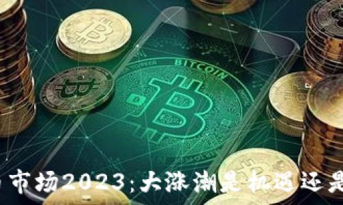   
虚拟币市场2023：大涨潮是机遇还是泡沫？