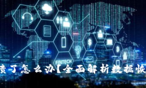  tpwallet崩溃了怎么办？全面解析数据恢复和安全保障