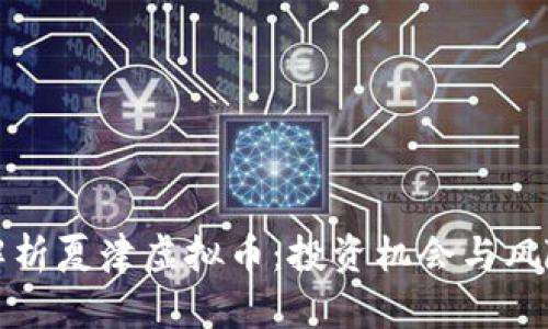 全面解析夏津虚拟币：投资机会与风险评估