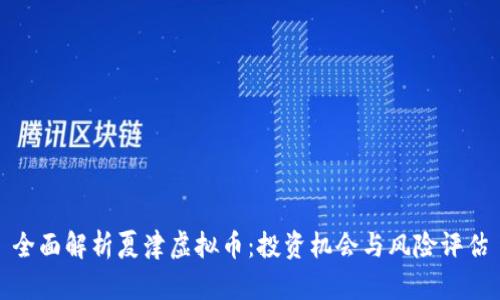 全面解析夏津虚拟币：投资机会与风险评估