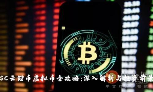 SC云储币虚拟币全攻略：深入解析与投资前景